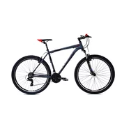 CAPRIOLO MTB LC 9.1 29 21AL sivo-crven 924543-19