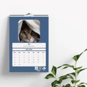 Pawz Zidni Kalendar 2026