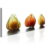 Slika - Winter Cherry 120x40