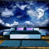 Foto tapeta - Magic night 200x140
