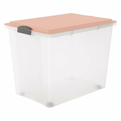 Plasticna kutija za pohranu s poklopcem Compact - Rotho