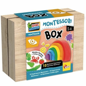 Montessori Box sight, Osjet vida