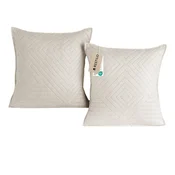 Prevleke za blazino iz mikrovlaken v kompletu 2 ks 45x45 cm Softa – Restilo