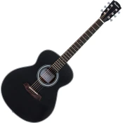 Pasadena PT-100 Black Akustična kitara