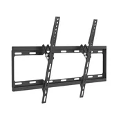 Champion Stenski nosilec Slim Tilt 37-70