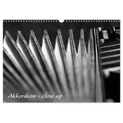 Akkordeon - close up (Wandkalender 2026 DIN A3 quer), CALVENDO Monatskalender