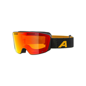 ALPINA NENDAZ Q-LITE Ski Goggle