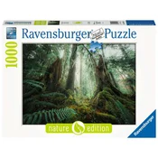 Ravensburger puzzle (slagalice) – 1000pcs Nature Edition Šuma RA17494