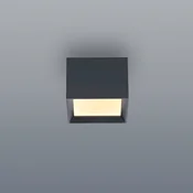 LED-stropna svetilka PURE Manhatten, mystic grey, 1-žarilna, CCT - Hodnik - Sodobni - mistično siva - Aluminij