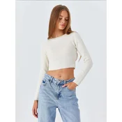 MixRay Pulover Pullover slonovina