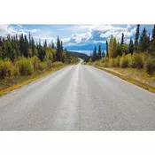 Komar foto tapet 8-532