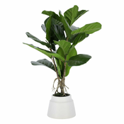 Umetni fikus (višina 60 cm) Lyrata – Kave Home