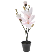 DIKER HOME Veštacka magnolija u saksiji 50 cm roze