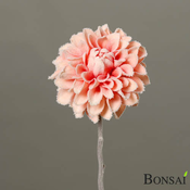 Umetna roža Dalija Peach 52cm zasnežena - roza - 50 do 75 cm