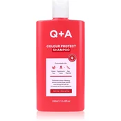 Q+A Colour Protect šampon za zaščito barvanih las 250 ml