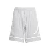 ADIDAS PERFORMANCE Športne hlače Squadra 25 siva/bela