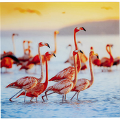 Meblo Trade Slika Flamingo Family 80x0,4x80h cm