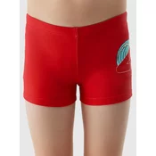 Boys swimsuit 4F