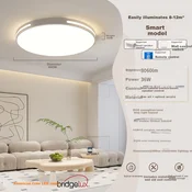 Aoc Plafonska lampa, 36W, 40cm