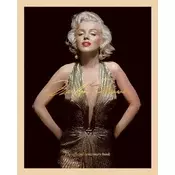 Marilyn Monroe 100