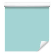 Tapeta Enobarvno celadon ozadje za dnevno sobo in spalnico 50x1000 cm