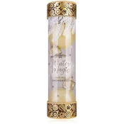 ACCENTRA SET DARILNI ZA KOPANJE 3X60ml GEL ZA TUŠIRANJE WINTER MAGIC