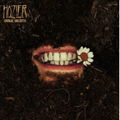 Hozier - Unreal Unearth (2 CD)