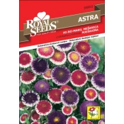 SEMENA CVETOČIH RASTLIN ROYAL SEEDS ASTRA HNM MEŠ. 23