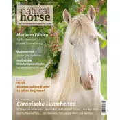 Natural Horse 62
