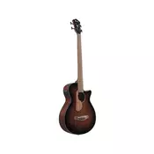 Ibanez AEGB24E-MHS