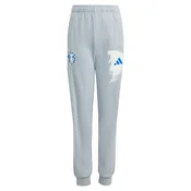 ADIDAS PERFORMANCE Športne hlače Jude Bellingham modra/svetlo siva/off-bela