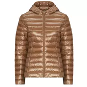 JOTT CLOE SHINY Kostanjeva