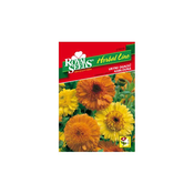 SEME ROYAL SEEDS 16 Ognjič Kablouna