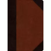 ESV Large Print Wide Margin Bible