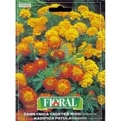 ŽAMETNICA TAGETES NIZKA MEŠANICA 1gr