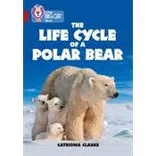 The Life Cycle of a Polar Bear