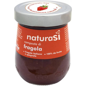 Džem od jagode BIO NaturaSi 300g