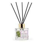 Northix Difuzor Reed 100 ml v steklu - dolgotrajna dišava