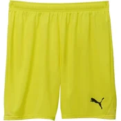 Puma Kratke hlače teamGOAL Shorts Jr