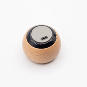 Wooden Mandela Effect Mini Speaker - Plastic