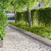 Vidaxl Robovi trave 10 kos 100 x 30 cm Nerjaveče jeklo Srebrna