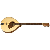 Irski bouzouki Pro Natura Silver VGS