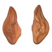 VILENJAEKE UŠI