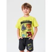 Sinsay - Kratke pantalone How to train your dragon - antracit
