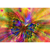 BlueBird - Puzzle Colorful Butterfly II 1000 - 1 000 kosov