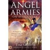 Angel Armies on Assignmnet