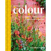 A Year of Colour