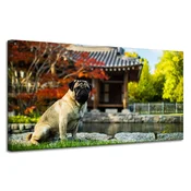 shumee Platno s tiskom Živali Mops 120x60 cm