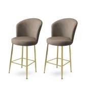 Hanah Home Set barskih stolica Fora, 2 komada, Bež-zlatni