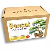 growbro Komplet za gojenje bonsajev Wisteria